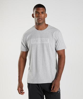 Pánské T Shirts Gymshark Block Světle Šedé | CZ 2494DFM